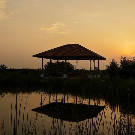 Blackbuck Safari Lodge Velavadar Bavliari Εξωτερικό φωτογραφία
