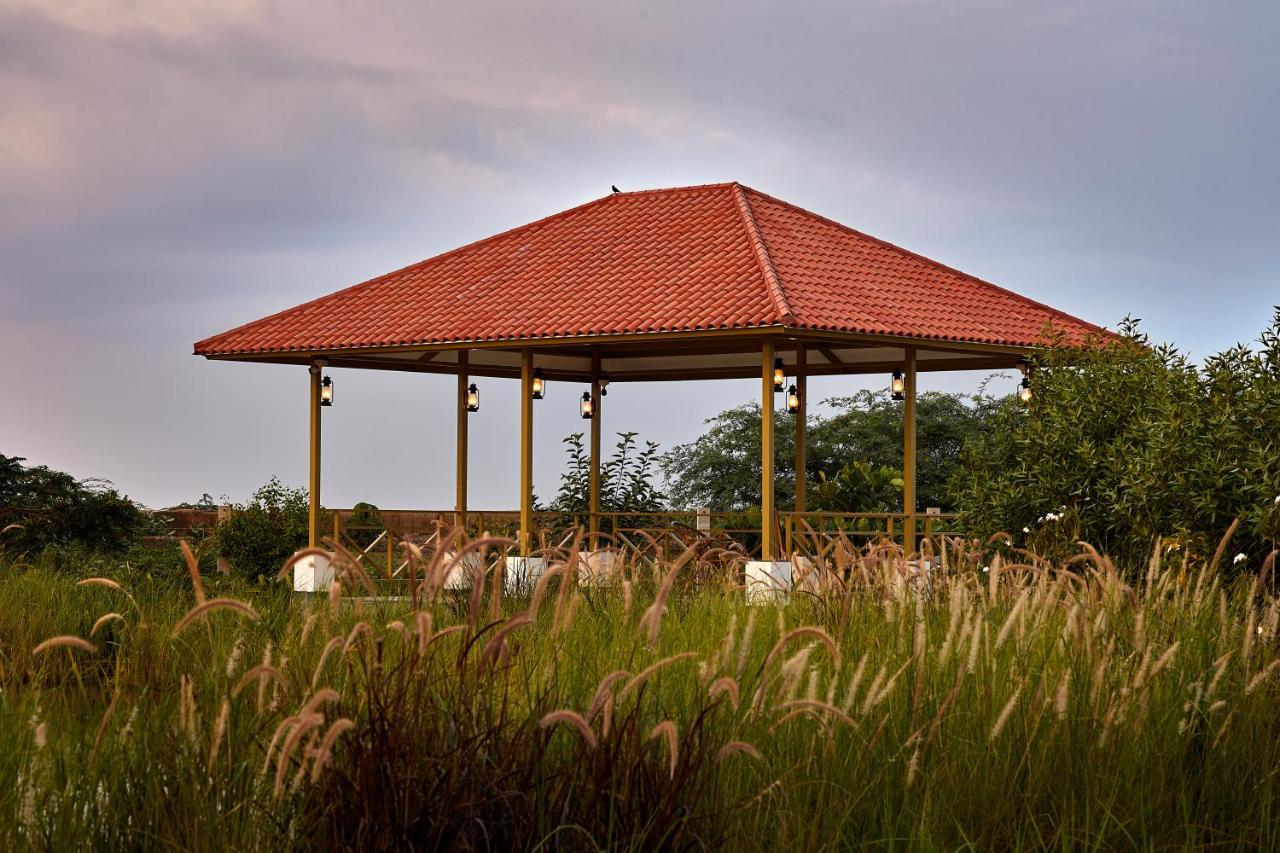 Blackbuck Safari Lodge Velavadar Bavliari Εξωτερικό φωτογραφία