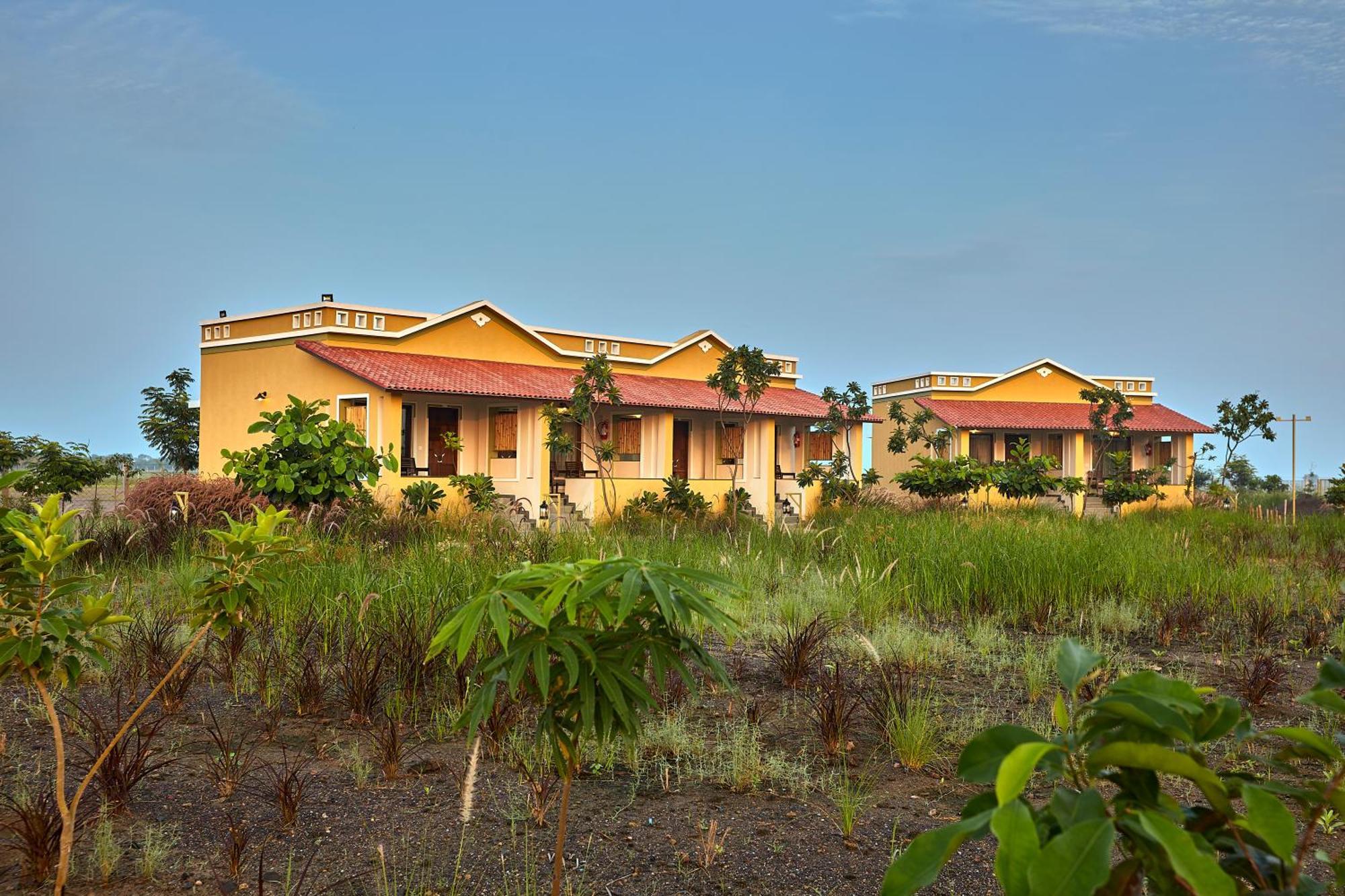 Blackbuck Safari Lodge Velavadar Bavliari Εξωτερικό φωτογραφία
